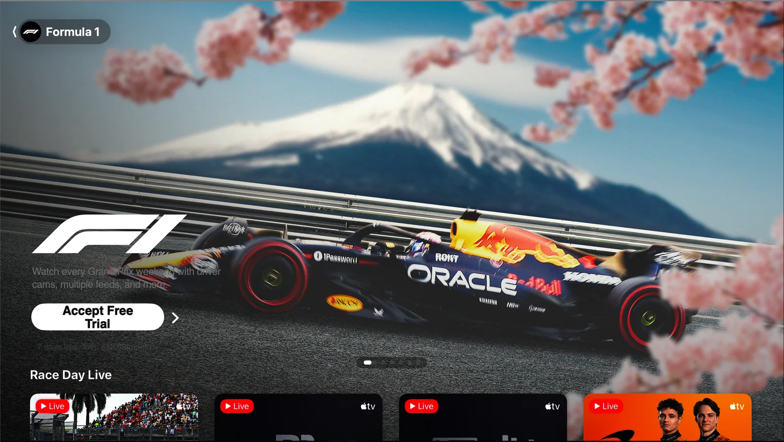BDW Formula 1 DV05